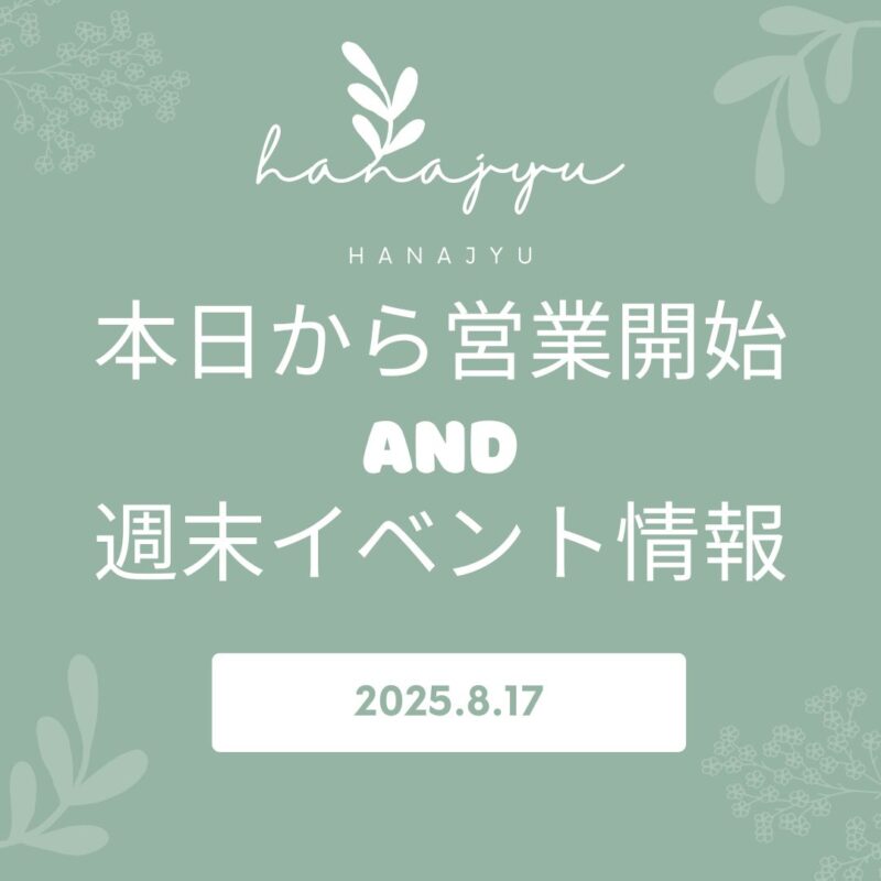 本日から営業開始です🚩
